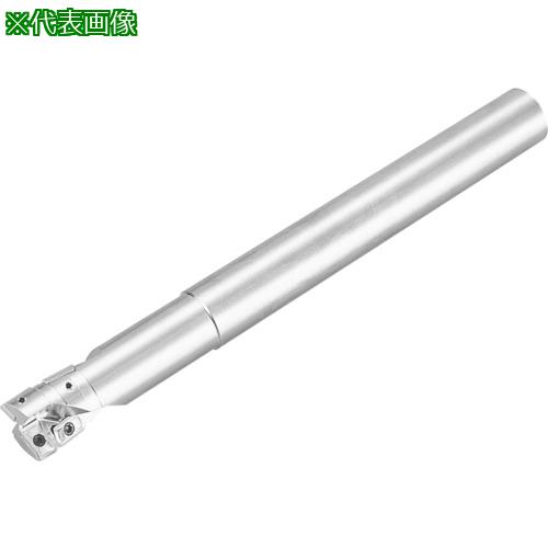  3ɥߥ MEY 󥰥󥯡:MEY17S16190͡5504481:0[ӸѤ][ǳ][ŹƬԲ]