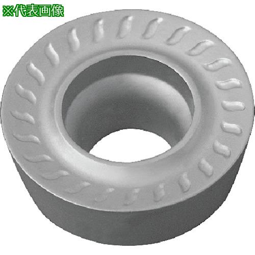  ե饤ùѥå RPMT(趯) TN100M10ա:RPMT1204M0H͡551382110:0[ӸѤ][...