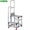 ■TRUSCO アルミ製作業用踏台 2段 高さ0.6m 天板寸法500×400 段高300mm 階段片手すり付き〔品番:TSF256TK300〕【5515669...