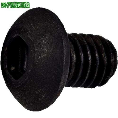 ■SANDVIK ボタンヘッドスクリュー(810)〔品番:3212106504〕【5606608:0】[送料別途見積り][法人・事業..