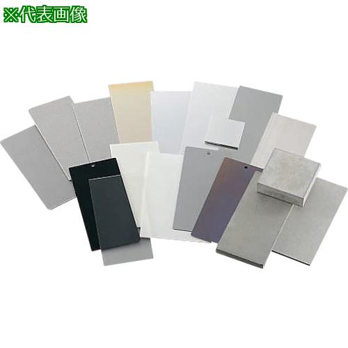 ■AS テストピース 化成処理鋼板PF-1077T 〔品番:2985613〕【5617943:0】[送料別途見積り][掲外取寄][店..