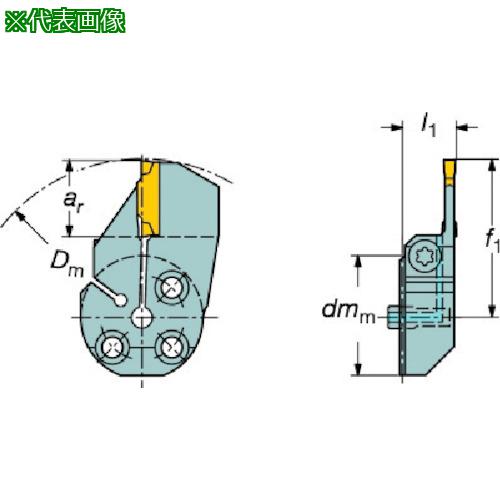 ■SANDVIK コロターンSLカッティングヘッド(420)〔品番:57040R123J18B060B〕【5632137:0】[送料別途見積り][掲外取寄][店頭受取不可]