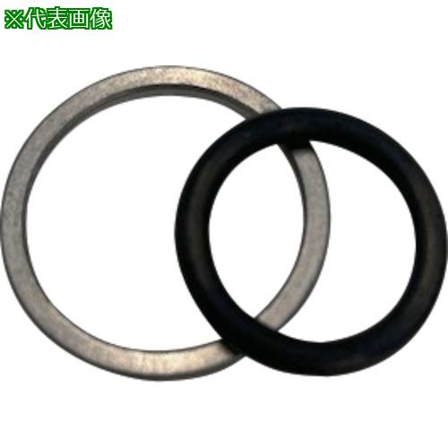 ■CEJN ワッシャー/Oリング G1”用 FVMQ《10個入》〔品番:107874283〕【5663884×10:0】[送料別途見積り][掲外取寄][店頭受取不可]