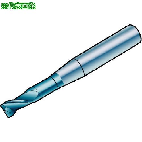 ■SANDVIK コロミルプルーラ 超硬ソリッドエンドミル(730) 1620〔品番:R216.4200530AE05G〕【5744512:0】[送料別途見積り][掲外取寄][店頭受取不可]