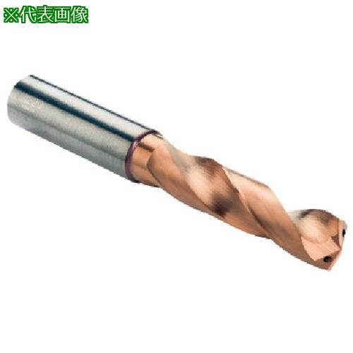■SANDVIK コロドリルデルタ-C 超硬ソリッドドリル(720) 1220〔品番:R840066030A1A〕【5764556:0】[送料別途見積り][掲外取寄][店頭受取不可](4)