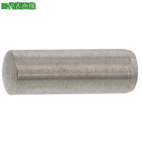 ■SUNCO SUS 平行ピン(A種 5 X 100 (100本入)〔品番:D002010A0050100000〕【5781798:0】[送料別途見積り][掲外取寄][店頭受取不可]