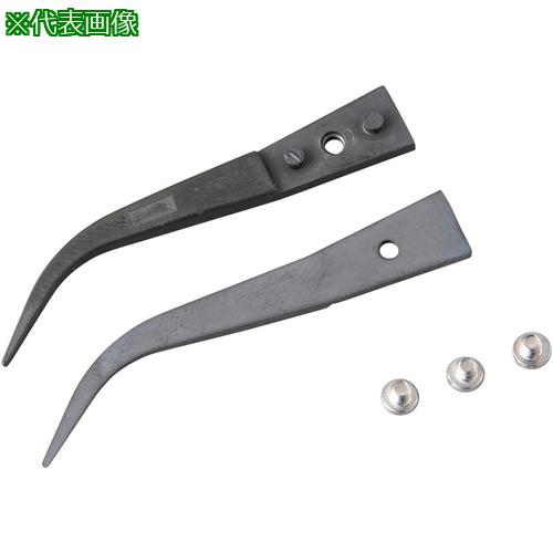 AS ESDߥåԥ󥻥å A7ZJ :4516012͡5783192:0[ӸѤ][ǳ][ŹƬԲ]