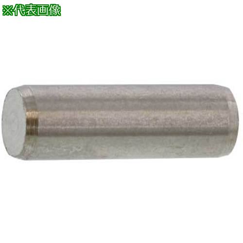 ■SUNCO SUS 平行ピン(B種 3 X 6 (1000本入)〔品番:D002010B0030006000〕【5785030:0】[送料別途見積り][掲外取寄][店頭受取不可]