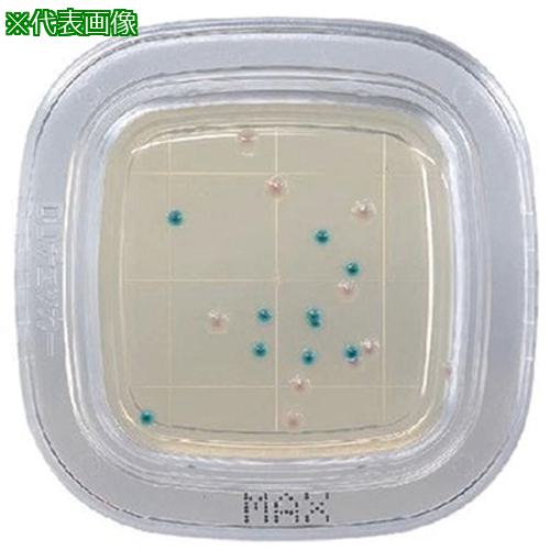 AS ¸κݤ¢ۤڤåDD PD0008 :2643042͡5787178:0[ӸѤ][ˡ͡Ƚ][ľ][Ź...