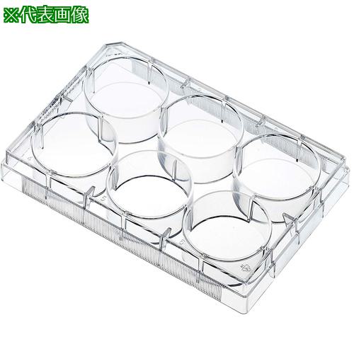 AS ޥץ졼ȡ̵ 10861-5:4480301͡5788734:0[ӸѤ][ǳ][ŹƬԲ]