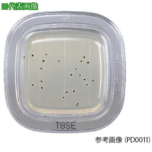 AS ¸κݤ¢ۤڤåDD PD0012 :2643044͡5791886:0[ӸѤ][ˡ͡Ƚ][ľ][Ź...