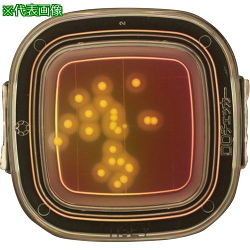 AS ¸κݤ¢04241 MSEYŷ 100 :4125003͡5793504:0[ӸѤ][ˡ͡Ƚ][ľ][...