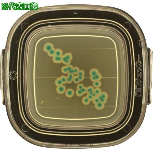 AS ¸κݤ¢04221 X-GALŷ 100 :4125006͡5793508:0[ӸѤ][ˡ͡Ƚ][ľ]...