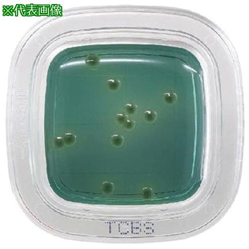 AS ¸κݤ¢ۤڤåDD PD0013 :2643025͡5794999:0[ӸѤ][ˡ͡Ƚ][ľ][Ź...