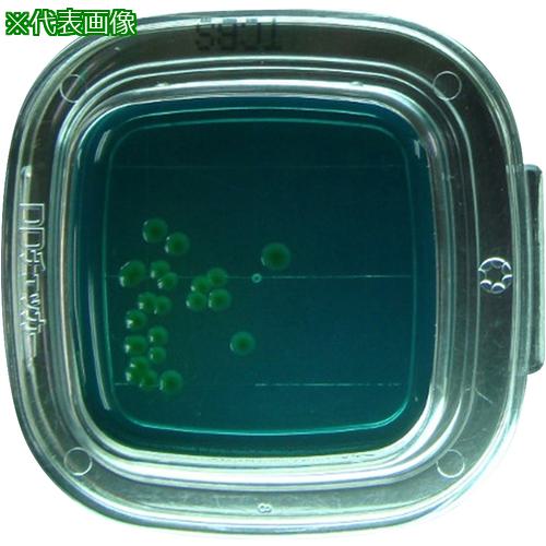 AS ¸κݤ¢04261 TCBSŷ 100 :4125004͡5795024:0[ӸѤ][ˡ͡Ƚ][ľ][...