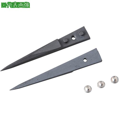 AS ESDߥåԥ󥻥å A72ZJ :4516014͡5807752:0[ӸѤ][ǳ][ŹƬԲ]