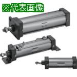 CKD åٻ񥢥:SCA2FB40B100͡5825598:0[ӸѤ][ǳ][ŹƬԲ]