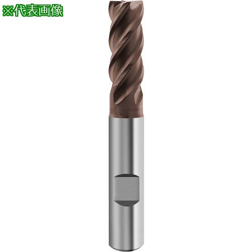 GUHRING 4꡼ɥɥߥ G-Mold 65 U 쥮 12mm:694312.000͡5847794:0[ӸѤ][...