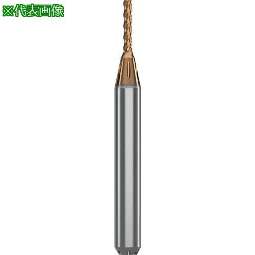 GUHRING 3ϥɥߥ 5xD ʬ RF100 Micro Diver 3.175mm:68093.175͡5849371:0[...