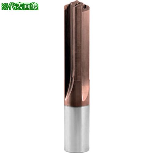 GUHRING Ķ4ϥɥ ۡդ VB 100 P 5xD 26mm:604526.000͡5861732:0[ӸѤ][...