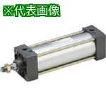 ■TAIYO 空気圧シリンダ〔品番:10A6FA100B200〕【5867690:0】[送料別途見積り][掲外取寄][店頭受取不可]