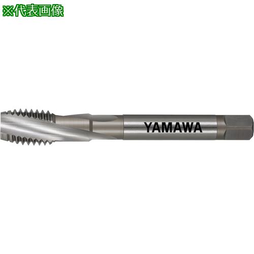 ޥ ѥѥ륿å ZET-B P3 5/16-18UNC:ZETBP351618UNC͡5964225:0[ŹƬԲ]