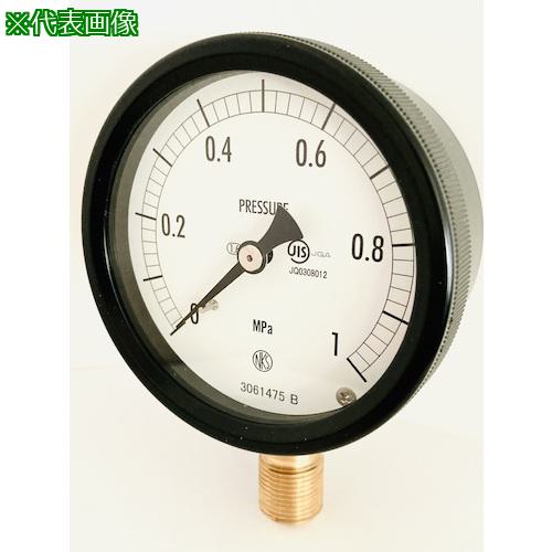 ■長野 密閉形圧力計(A/B枠・立形) 100Φ 形番:BE12(プラスチックケース) (検査書類4点セット付)〔品番:BE121330.12.5MPAID4SET〕【6112879:0】[送料別途見積り][法人・事業所限定][外直送][店頭受取不可]