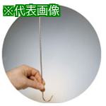 ■IWATA スタンダードフック 鉄(R曲げ)(100本入)〔品番:100X2.0PR11X2-P〕【6321053:0】[送料別途見積り][掲外取寄][店頭受取不可](4.0)