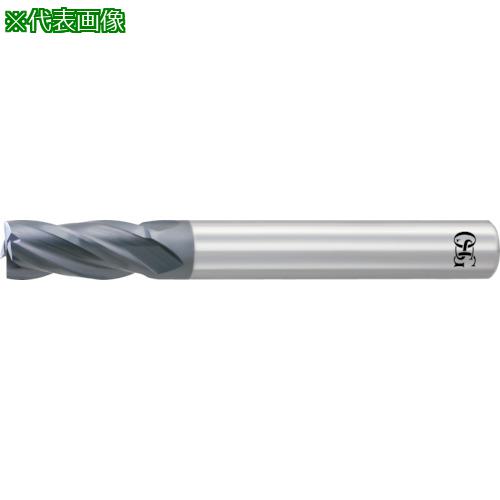 OSG ֥륨륷꡼ 3130750:WXLEMS25͡6337767:0[ŹƬԲ]