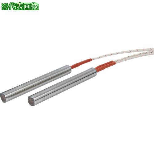 ■八光 ウルトラファイブ インチサイズ 単相240V用 φ6.25L101.6 300W〔品番:HLK2306〕【6419007:0】[送料別途見積り][法人・事業所限定][外直送][店頭受取不可]