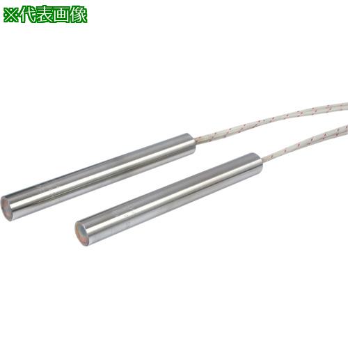 ■八光 ウルトラファイブ SL型 100V用 φ12.0L55 100W〔品番:SLF1101〕【6437863:0】[送料別途見積り][法..