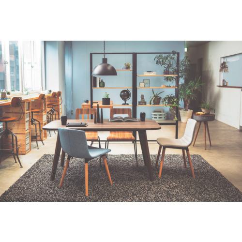 ■NOAH リフレッシュテーブル TNR ミディアム W1500〔品番:TNR1590M〕【6453512:0】[送料別途見積り][法人・事業所限定][外直送][店頭受取不可] [2]