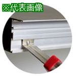 ■IWATA プロファイルインサート P-V/BH(500個入)〔品番:BHP19X1.590V〕【6536149:0】[法人・事業所限定][直送元][店頭受取不可]