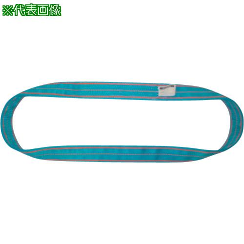 ■TESAC ブルースリング(JIS4等級・エンドレス形)荷重25.0t全長4.25m〔品番:4N300X4.25〕【6536684:0】[法人・事業所限定][外直送元][店頭受取不可]