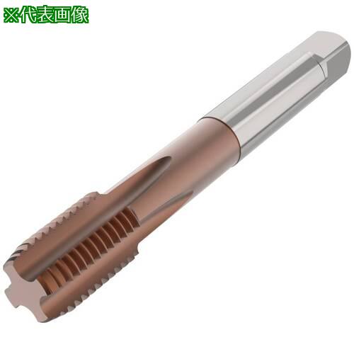 ■セコ ねじ切りタップ T35-SS・〔品番:T35SS01C0612X1.7565RH〕【6797987:0】[送料別途見積り][掲外取..