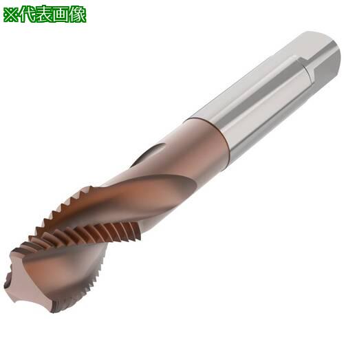 ■セコ ねじ切りタップ T35-R15・〔品番:T35R15S02C0510X165RH〕【6798034:0】[送料別途見積り][掲外取..