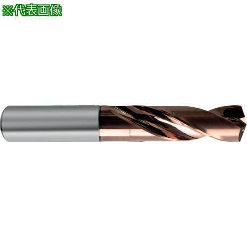 GUHRING Ķťȥ졼ȥ󥯥ɥ3xD4.37mm:85124.370͡6824797:0[ӸѤ][ǳ][ŹƬԲ...
