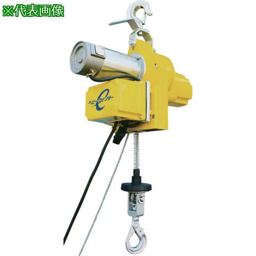 ■TKK エンドレスタイプ小型ホイスト 300kg 30M〔品番:BWE30030M〕【6866445:0】[送料別途見積り][法人..