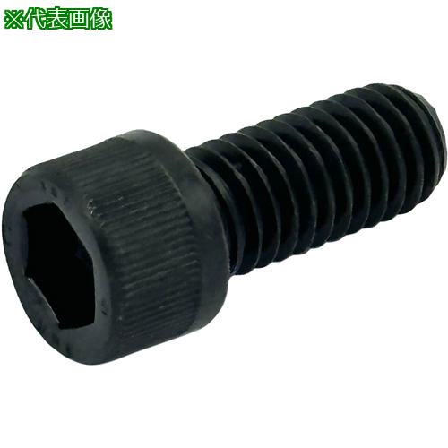 Υ ϻѷեܥ ˥եUNC #10-24x3/44ա:CSUNCNO10314͡68675934:0[ӸѤ][ǳ][ŹƬԲ]