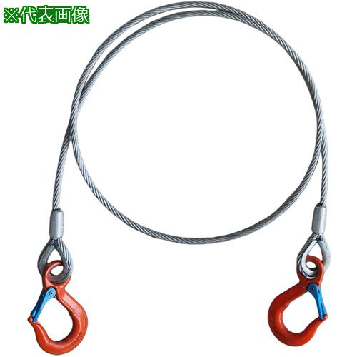 《メーカー》大洋製器工業（株）《品番》TWBLWH-1TX5《特長》●偏荷重になった吊り荷の水平吊り調整（重心調整）が簡単にできるようになり、作業効率が向上します。《用途》●玉掛け作業の水平吊り調整《仕様》●L(mm):5000《仕様2》●ワイヤバランサー用　ワイヤフックセット《原産国（名称）》日本《材質／仕上》《セット内容／付属品》●Vフック 1.25t、ワイヤスリング（IWRC6xFi(29)φ10 ）《注意》《JANコード》4580049455666《本体質量》3.76kg※こちらの商品は送料無料対象外です。※「送料無料」と表示されても別途送料が必要となりますのでご注意ください。TAIYO　ワイヤバランサー　1t　L5m用　ワイヤフックセット（1015559）〔品番：TWBLWH-1TX5〕[注番:6929324][本体質量：3.76kg]《包装時基本サイズ：××》〔包装時質量：〕分類》荷役用品》吊りクランプ・スリング・荷締機》ワイヤロープスリング☆納期情報：取寄管理コード(005) メーカー直送品 (欠品の場合有り)