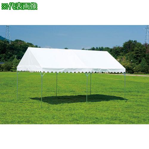 ■トーエイライト 集会テントBTE1520〔品番:G1987〕【6965505:0】[送料別途見積り][法人・事業所限定][..