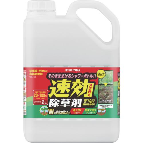 IRIS 110883 ® 2L:WSJ2L͡7012495:0[ŹƬԲ]