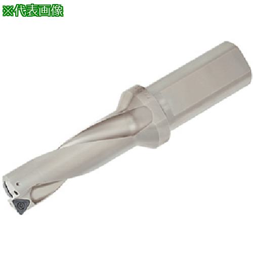 󥬥 󥰡åɥ TDS-F(L/D=3):TDS450F403͡7106912:0[ŹƬԲ]