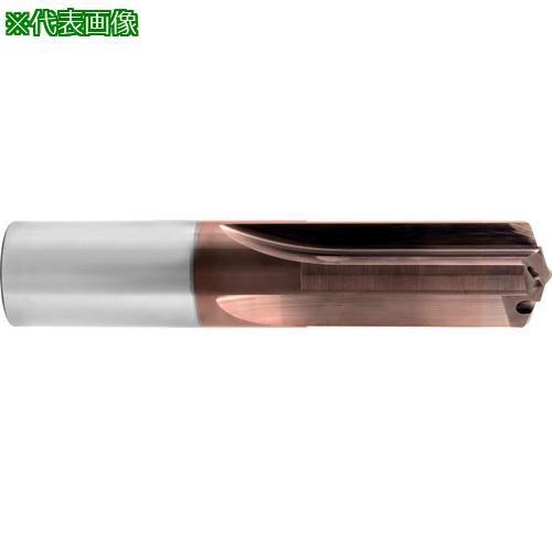 GUHRING 4ϥɥ 3xD Signum 24mm:604424.000͡7108950:0[ӸѤ][ǳ][ŹƬ...