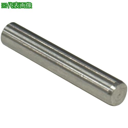 ■コノエ 平行ピンA種 SUS303 8×55〔品番:PARAPINASUS855〕【7115281:0】[送料別途見積り][掲外取寄][店頭受取不可]