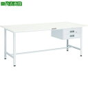 ■TRUSCO 軽荷重作業台(300kg)AE型 900X600XH740 2段引出付 ホワイト色〔品番:SAE0960F2W〕【7703066:0】[法人・事...