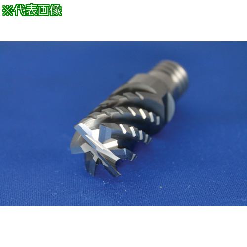 MAPAL CPMill-Uni-Rough&Finish CPM140ס:CPM1402500Z06F005020HP383͡7754931:0[ŹƬԲ]