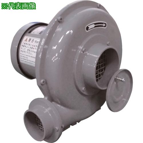 ■淀川電機 電動送風機 プレート型 Nシリーズ 単相100V (0.045kW)〔品番:NK2L〕【7786034:0】[店頭受取..