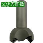 ■富士元 フライス工具 NEW Tikoかったぁ シャンクφ20 加工径φ80〔品番:TKN2080S03〕【7968558:0】[店頭受取不可]