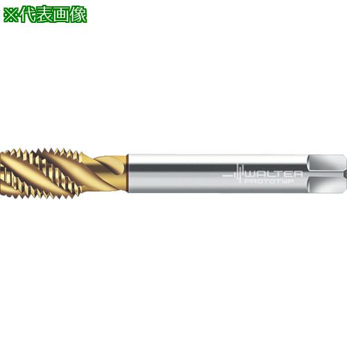 Prototyp ޥ󥿥åס:P24569G1.18͡8026446:0[ӸѤ][ǳ][ŹƬԲ]